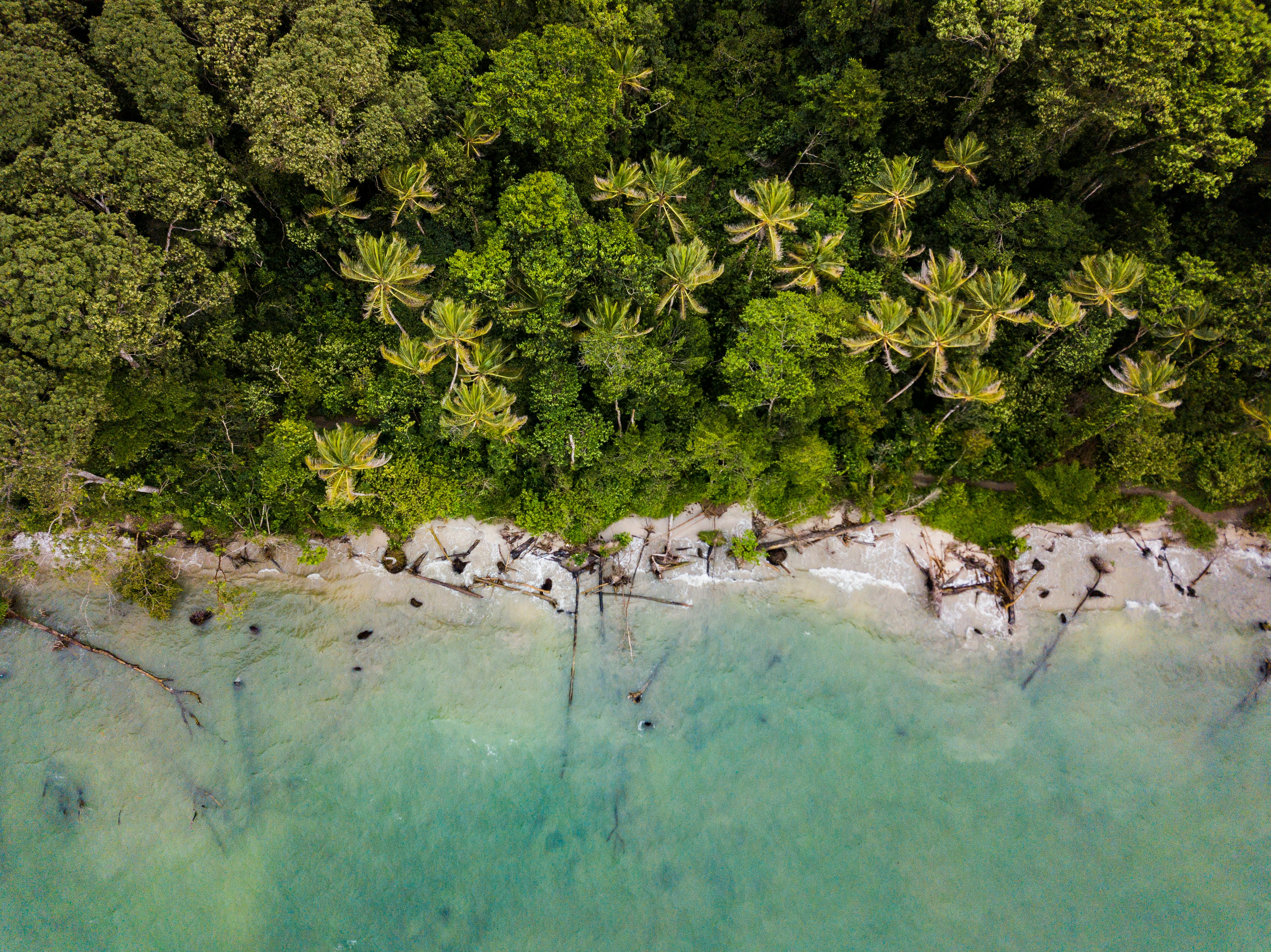 Total Costa Rica